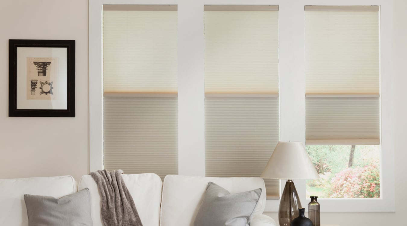 Cellular shades in a Philadelphia living room